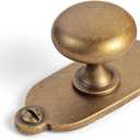 Goo-Ki Antique Brass Zinc Alloy Cabinet Knob with Backplate - Single Hole Center Cabinet Pull Hardware for Bedroom, Kitchen, 2 Pack8611-G013