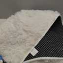 Ophanie Area Rugs for Bedroom, Christmas Upgrade Non-Slip Ivory Fluffy Soft Shag Living Room Carpet, Indoor Floor 4x6 Fuzzy Shaggy Living Room Plush Nursery Rug for Kids Home Dorm Decor Aesthetic