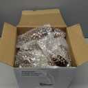 Sliner 48 Pcs Christmas Pinecone Ornament Glass Pinecone Bulk for Christmas Tree 3 Sizes Glass Ornament Fall Hanging Pine Cone Pendants for Winter Xmas Fall DIY Craft Decor(Golden Brown)