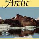 A Naturalist's Guide to the Arctic