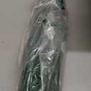 Green Leaves Outdoor Indoor Entrance Door mat, Absorbent Durable Heavy Duty Welcome Front Door Mat,Thick Natural Rubber Back,Easy Clean Entryway Mat 17x30 Inch, Low Profile (1'5" x 2'6" (Rectangular))