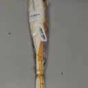 Dried Flowers for Vase, Black Pampas Grass Boho Bouquet Decor Mixed Dreid Flowers Wall Decor, Rustic Flower Arrangement for Home Decor Office Bedroom DIY Craft