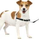 PetSafe Easy Walk No-Pull Dog Harness - The Ultimate Harness to Help Stop Pulling - Take Control & Teach Better Leash Manners - Helps Prevent Pets Pulling on Walks, Small, Charcoal/Black