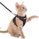 rabbitgoo Cat Harness and Leash for Walking, Escape Proof Soft Adjustable Vest Harnesses for Cats, Easy Control Breathable Reflective Strips Jacket, Black, XXS