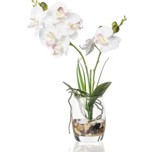 Jusdreen 1 Pcs Glass Vase Artificial Orchid Flower Bonsai Vivid Phalaenopsis Flowers Potting for Home Office Dcor,Table Centerpiece Room Decorations 14.5 INCH (Glass Vase/White Orchid)