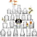 Arme 20 Pcs Bud Vase Set, Mini Vases for Flowers, Small Vintage Glass Vase for Centerpieces, Cute Clear Bud Vases for Home Flower Wedding Decorations