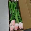 MACTING 30PCS Artificial Tulip Flowers - 13.7" Real Touch Fake PU Tulips Bouquet Faux Spring Flowers for Floral Arrangements Table Centerpiece Kitchen Home Mothers Day Easter Summer Decorations(Cream)