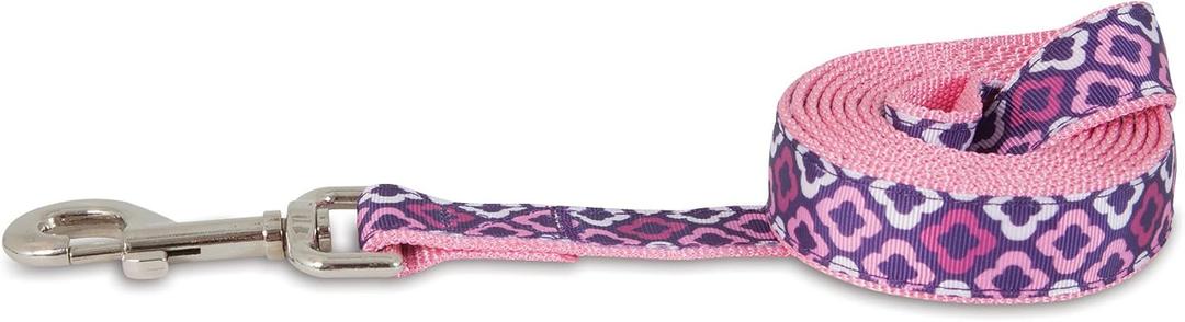 Petmate Geo Leash, 1" x 6', Purple