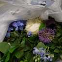 26 Inch Spring Wreaths for Front Door Outside Large Artificial Summer Wreath with Blue Hydrangea, White Peony Flowers and Eucalyptus Leaves Indoor Outdoor Porch Farmhouse Home Wall Décor