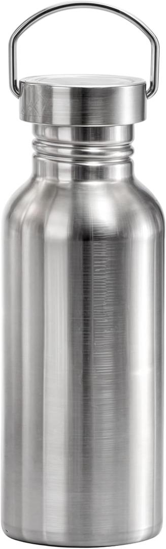 Uninsulated Stainless Steel Water Bottle, Single Wall, with Carrying Loop, 17oz Leak Proof Wide Opening No Plastic, Metal Bottles Container for Cyclists Sports Beach Goers Runner Hiker Picnics, Silver