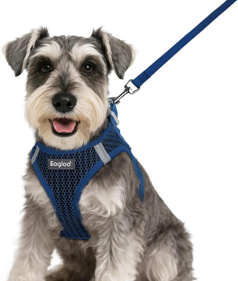 Eagloo Small Dog Harness and Leash Set, Step in Puppy Vest with Breathable Soft Mesh, Walking Reflective Pet Harness for Small Dogs, Navy Blue, S (S(Chest:15.1"-16.5"))
