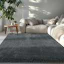 Fluffy Area Rug for Living Room 6x9: Grey Shag Rugs for Living Room- 6x9 Feet Fluffy Rugs for Bedroom- Shag Gray Rugs Soft Fuzzy Carpets for Bedroom, Nursery (Grey,6x9)