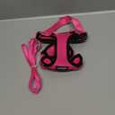 rabbitgoo Cat Harness and Leash for Walking, Escape Proof Soft Adjustable Vest Harnesses for Cats, Easy Control Breathable Reflective Strips Jacket, Rose Red,S