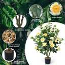 Artificial Camellia Tree 2 Pack 42" Faux Camellia Plant in Pot with 32 Blooming Flowers Fake Flower Tree Greenery Potted Plant for Indoor Outdoor Office Home Porch Decor Yellow
