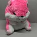 20" Hamster Colorful (SS)