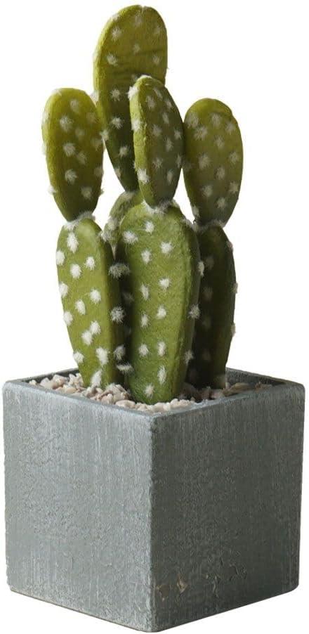 Cactus Artificial Plants in Gray Pots, Realistic Faux Cactus Potted Dcor for Home, Office, Kitchen, Living Room, Desk, Shelf, and Indoor Decoration (Oblate) (Grey Green-br09)