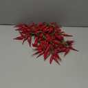 5 Strings Simulation Artificial Lifelike Fake Vegetable Artificial Garlic Red Pepper Onion Hanging String Foam Vegetables for Home Kitchen Decor Photography Props (Red Chili)