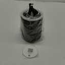 Katchy Duo  Indoor Flying Insect Trap with Scent Pod  Day & Night Effective  Mosquito, Fruit Fly, Gnat & Small Moth Catcher  Non-Zapper Trap with Blue UV Light & Fan Suction (Black)