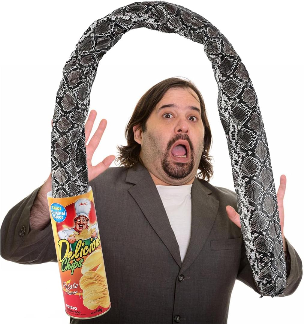 Winbar Prank Gifts for Kids, Funny Classic Snake in a Can Prank for Kids Magic Potato Chip Cans Fries Toys April Fools' Day and Halloween Party Decoration