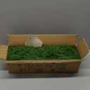 Senjie Christmas Garland Norfolk Pine Garland Real Touch Artificial Greenery Garland for Mantle Fireplace Table Indoor Outdoor Holiday Decorations 6FT 