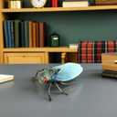 ibasenice 2pcs Realistic Cicada Insect Model Toys for Kids, Lifelike Simulation Cicadas Figures for Insect Theme Party, Home Decoration, Educational Play, 3.34 * 2.75 * 1.18inch