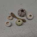 5PCS Hanging Air Plants Holders/Stand Mini Sea Urchin Shell Decorative Tillandsiat Succulent Air Plant Display Container for Home Office Wall Garden Beach Hawaii Theme Party Favors