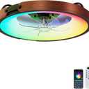 20 Inch RGB Ceiling Fan with Light, 30dB Ultra Quiet Low Profile Flush Mount Fandelier, Black Bladeless Ceiling Fans with Remote, Fits 8ft Low Ceilings for Bedroom Living Room Kitchen