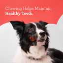 DreamBone Mini Chews, Made With Real Beef, Rawhide-Free Chews For Dogs, 24 Count