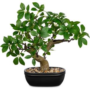 Artificial Bonsai Tree 12.9 Inch Faux Ficus Plant in Ceramic Pot with Pebbles Fake Green Potted Plant for Home Office Desk Decor Indoor Zen Table Centerpiece, Small Artificial Plants for Living Room