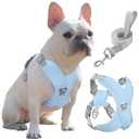 Pawaboo Small Dog Harness and Leash Set, Puppy Harness X-Frame No Pull No Choke, Dog Vest Harness Adjustable for Small Medium Sized Dogs, Soft Breathable Pet Harness for Walking Outing (S, Blue)