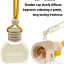 Ikeda Car Air Freshener: Hanging Car Smell Air Freshener | 10ml Hanging Car Perfume | Long Lasting Fragrance | Strong Scents Diffuser for Auto Home (Forget)