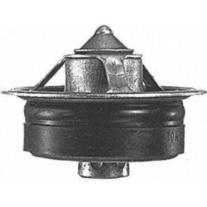 Motorcraft- RT1049 Thermostat