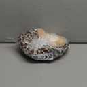 LEFTSTARER Guinea Pig Rat Bed and Hideout for Ferret Hedgehog Sleep and Hide, Hamster Small Pet Animals Supplies Toy Cage Accessories Nest (1.Giraffes-L)