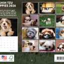Shih Tzu Puppy Calendar 2026 Shitzu Monthly Wall Calender 12 Month | American Made In The USA