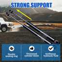 Rear Hatch Struts Tailgate Lift Supports Trunk Liftgate Struts Gas Spring for Ford Mustang 2005-2014 Without Spoiler
