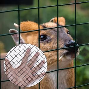 POTNET Black PVC Vinyl Coated Wire Mesh Hardware Cloth 1/2 inch 48 x 100 ft 19 Gauge, Double-Layer Rust-Proof Design, Easy to Bend and Durable, Chicken Wire Mesh Tree Guard Rodent Wire