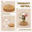 uxcell Round Cloche Glass Dome, 7.9" x 5.9" Decorative Glass Display Bell Jar, Glass Dome Cloche with Light Brown Base for DIY Flower Craft, Collectibles Specimens Plants Dustproof