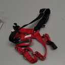 PetSafe Easy Walk No-Pull Dog Harness - Ultimate Harness to Help Stop Pulling - Pull-Free Walks - Take Control & Teach Better Leash Manners - Patented Martingale Loop Design - Red, Small/Medium