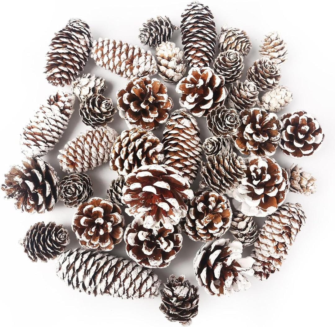 DomeStar 40PCS Snow Pine Cones for Crafts, Natural Cones Christmas Ornaments for Xmas Tree Wreath Winter Holiday Hanging Ornaments, Winter Vase Filler