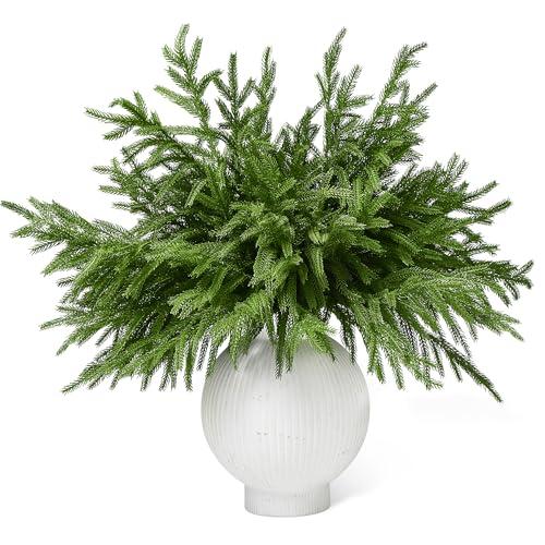 WeGuard 16 Pcs Real Touch Artificial Norfolk Pine Branches, 18 Inches Faux Norfolk Pine Stems Fake Christmas Greenery Picks for Vase DIY Garland Wreath Christmas Decorations Indoor Outdoor