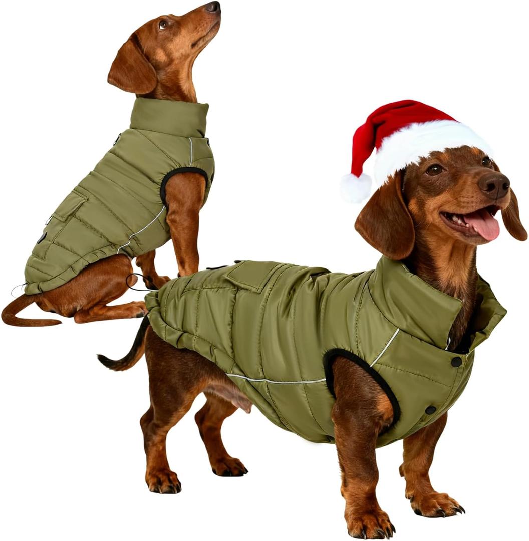 Dog Winter Puffer Jacket Waterproof, Reflective Furry Fleece Lined Dog Coats for Small Medium Dogs, Warm Snow Coat, Insulated Cold Weather Dogs Vest Jackets with Leash Hole, Olive, L (L(10-15lb, Chest:16.9"-19.3",Back:14.1"))