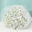 MARTINE MALL Babys Breath Artificial Flowers, 10 PCS White Baby Breath Flowers Artificial Bulk, Fake Babys Breath Gypsophila Real Touch Faux Babys Breath for Wedding Floral Arrangement Home Decor