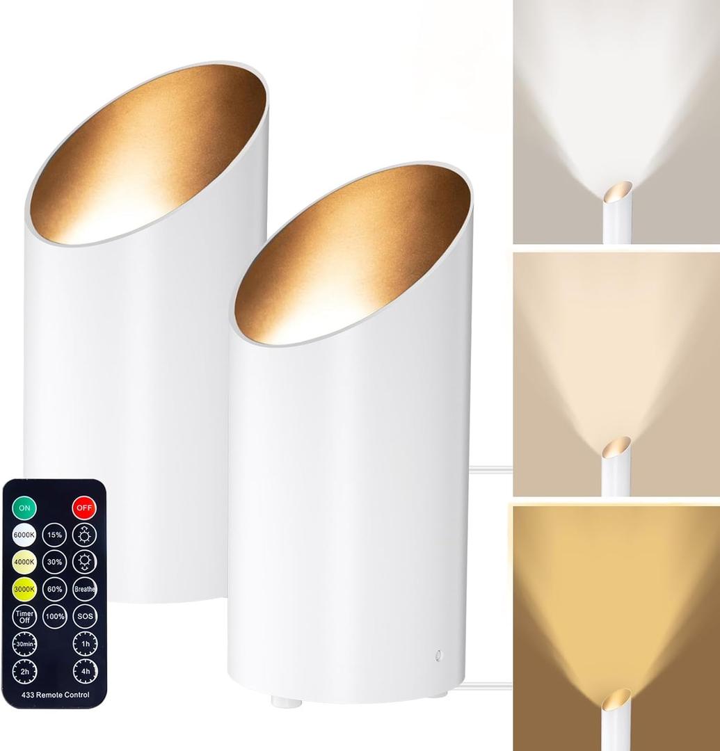 Brightown LED SpotLights - 2 Pack Uplighting Floor Can Lights with Remote and Timer, 3 Color Temperatures & Dimmable, 2 Lighting Modes for Wall Picture Painting Plants Indoor Accent Lighting, White