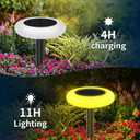 Lightonight Colorful Solar Lights Outdoor, Color Changing Solar Lights with Remote, Colorize Pathway Lights Solar Garden Lights for Landscape Walkway Patio Yard Pool Garden