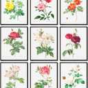 LANCHI95 Vintage Roses Botanical Prints - Flower Wall Art, Rose Collection, Roses for Wall Decoration (9pcs- 8x10in- UNFRAMED)