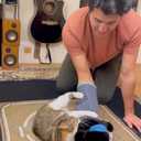 Cat Wrestling Glove Puppet Interactive Hand Mitt with Durable Protective Sleeve and Catnip - Play & Enrichment