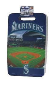 MULTI - PURPOSE CUSHION 10" x 17"