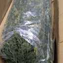 2 Pack 5ft Artificial Cedar Topiary Trees, Outdoor Artificial Plants for Front Porch Décor, Artificial Shrubs Fake Plants Uv Rated Potted Plants for Outdoor, Indoor, Front Door, Office