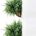 QIANYUN Faux Boston Fern with Hanging Basket  18in Fake Hanging Fern, Lifelike Artificial Plants for Outdoors, Wall-Mount Dcor for Porch, Patio, Balcony, or Garden (2, Green)