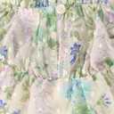 Gymboree Girls and Toddler Flutter Sleeve Dresses 12